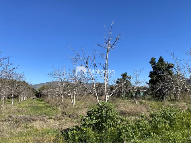 VENTA El Tambo Centro - Terreno con casa - Imagen 3