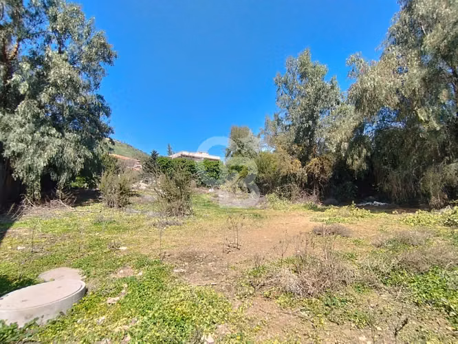 Sitio La Reserva Chicureo | Baja Pendiente | Interior - Imagen 4