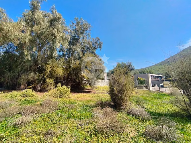 Sitio La Reserva Chicureo | Baja Pendiente | Interior - Imagen 8