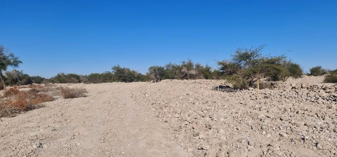 La Huayca - Imagen 2
