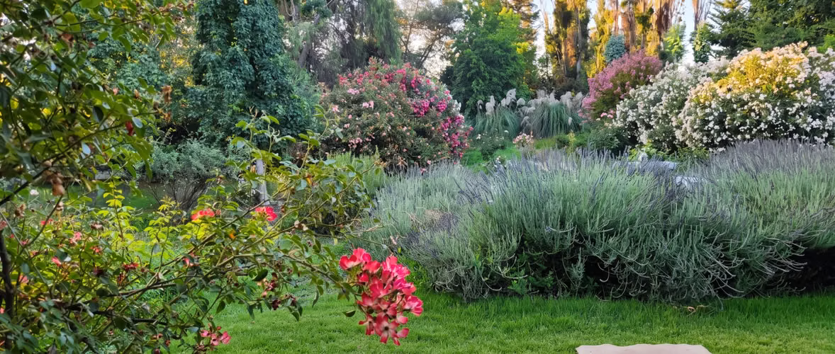 Casa en parcela con piscina, quincho y casa de visitas - Imagen 18