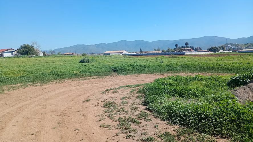 Parcela 5.001 Mts2 Rol Propio Sector Pan De Azúcar Coquimbo - Imagen 10