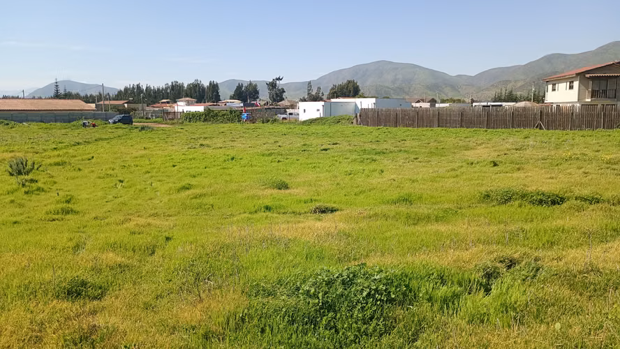 Parcela 5.001 Mts2 Rol Propio Sector Pan De Azúcar Coquimbo - Imagen 2