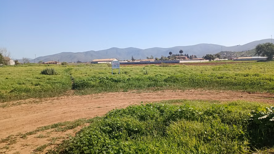 Parcela 5.001 Mts2 Rol Propio Sector Pan De Azúcar Coquimbo - Imagen 8