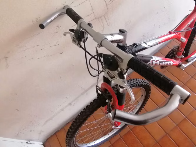 BICICLETA BIANCHI, ARO 26 - Imagen 2