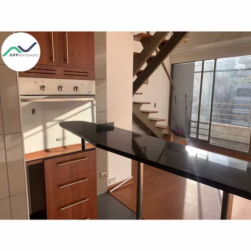 ARRIENDO AMPLIO DEPTO LOFT EN PROVIDENCIA (184424)