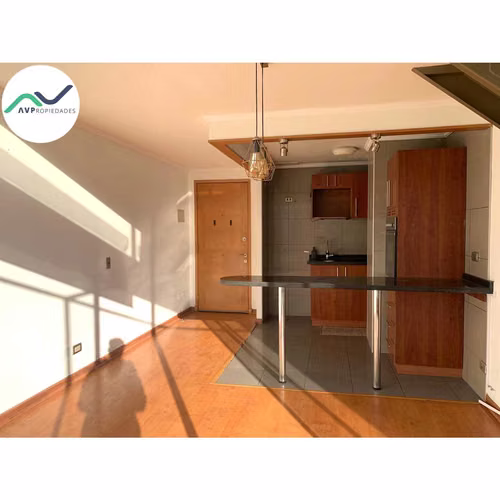 ARRIENDO AMPLIO DEPTO LOFT EN PROVIDENCIA (184424) - Imagen 3