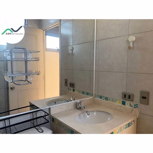 ARRIENDO AMPLIO DEPTO LOFT EN PROVIDENCIA (184424) - Imagen 16