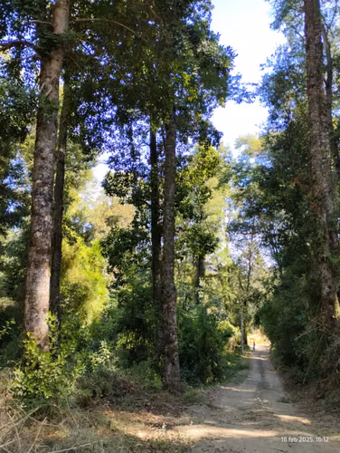 Parcela Agrado