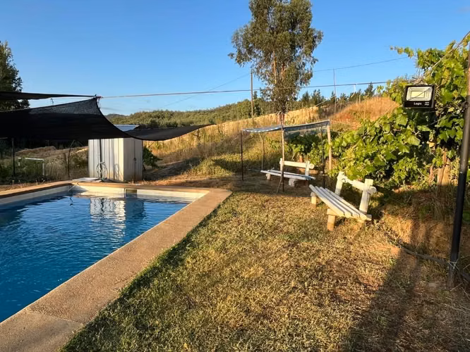 Venta parcela 5000 mt2