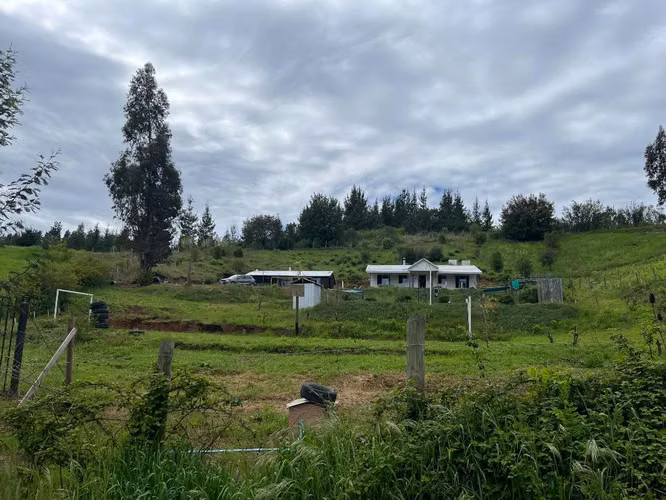 Venta parcela 5000 mt2