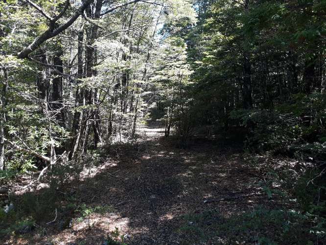 EXCELENTE SITIO 5.000 M2 EN CAMINO AL VOLCÁN, PUCÓN