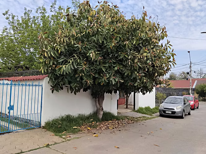 Casa Esquina aislasa de 4D y 2 B en 337 mts de Terreno - Imagen 4