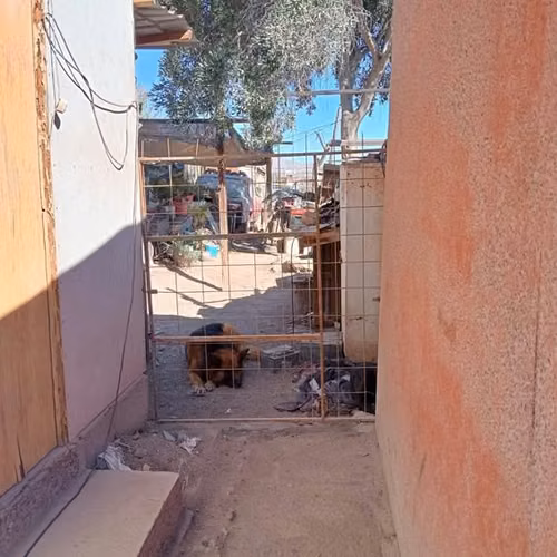 AMPLIO TERRENO EN ZONA URBANA - Imagen 7