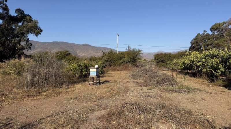 Parcela VILLA EL BOSQUE TAMBILLOS