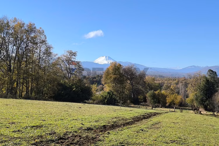 Refugio de montaña en el corazon de la araucania - Imagen 10