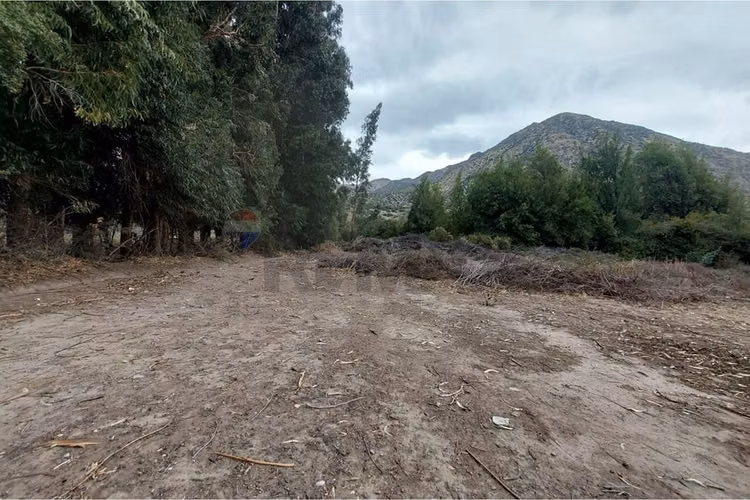 Terreno 7.000 m2 en el manzano - Imagen 4