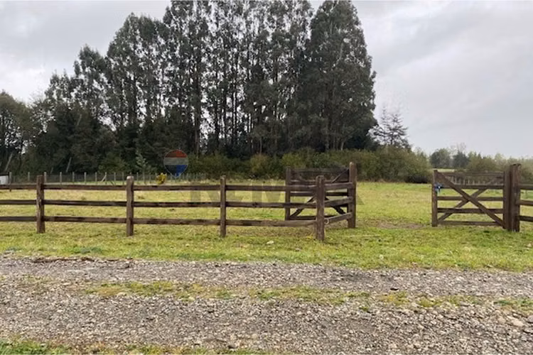 Venta de parcela 5.000 m² – sector coipué - Imagen 4