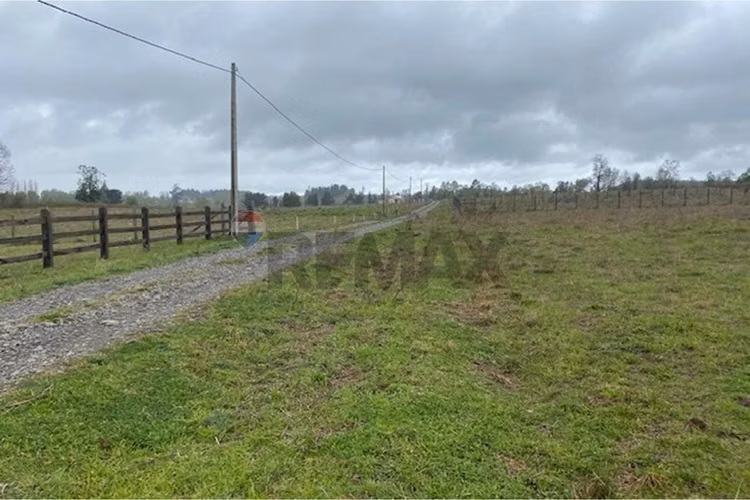 Venta de parcela 5.000 m² – sector coipué - Imagen 6