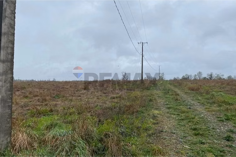 Venta de parcela 5.000 m² – sector coipué - Imagen 18