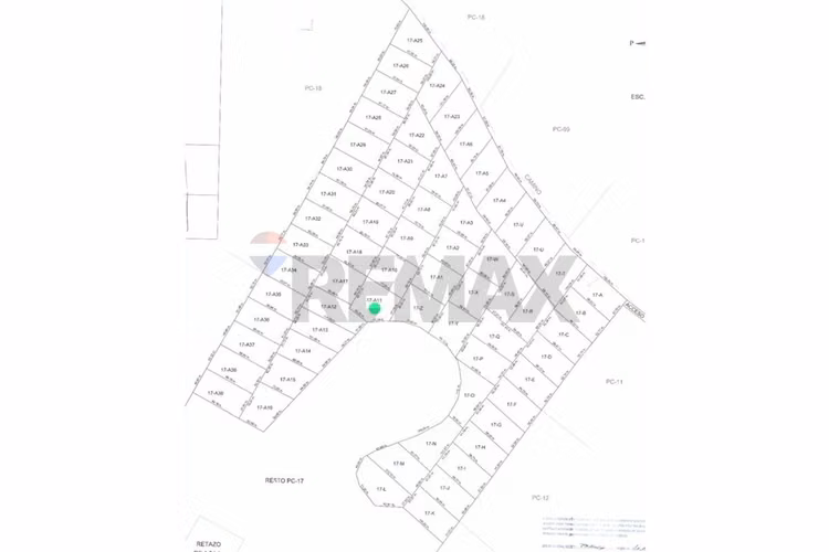 Venta de parcela 5.000 m² – sector coipué - Imagen 2