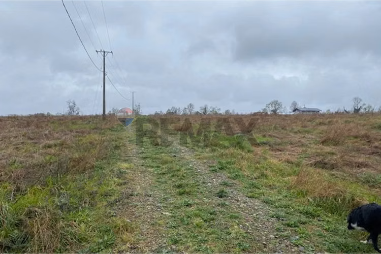 Venta de parcela 5.000 m² – sector coipué