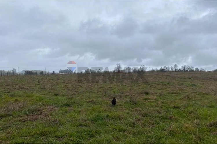 Venta de parcela 5.000 m² – sector coipué