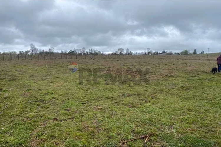 Venta de parcela 5.000 m² – sector coipué