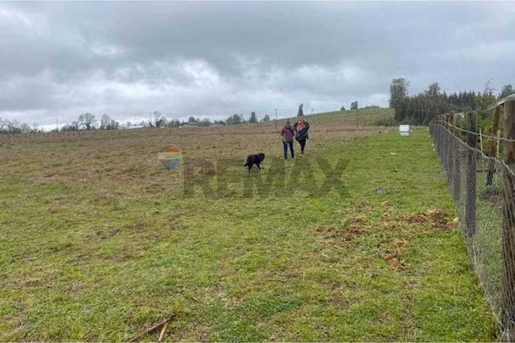 Venta de parcela 5.000 m² – sector coipué - Imagen 8