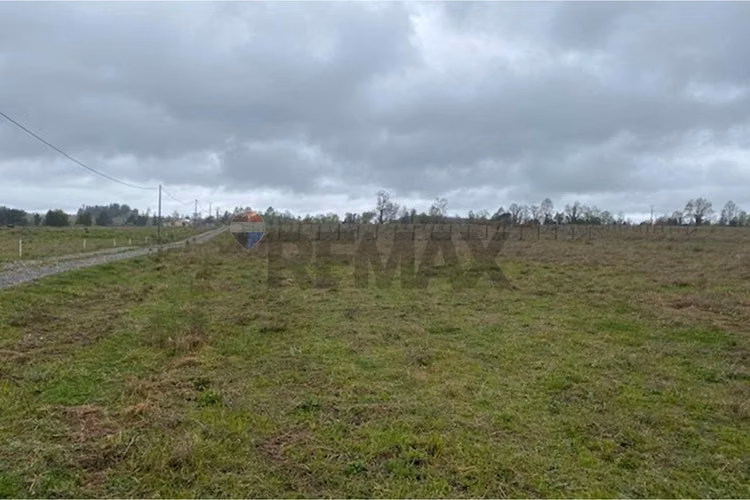 Venta de parcela 5.000 m² – sector coipué
