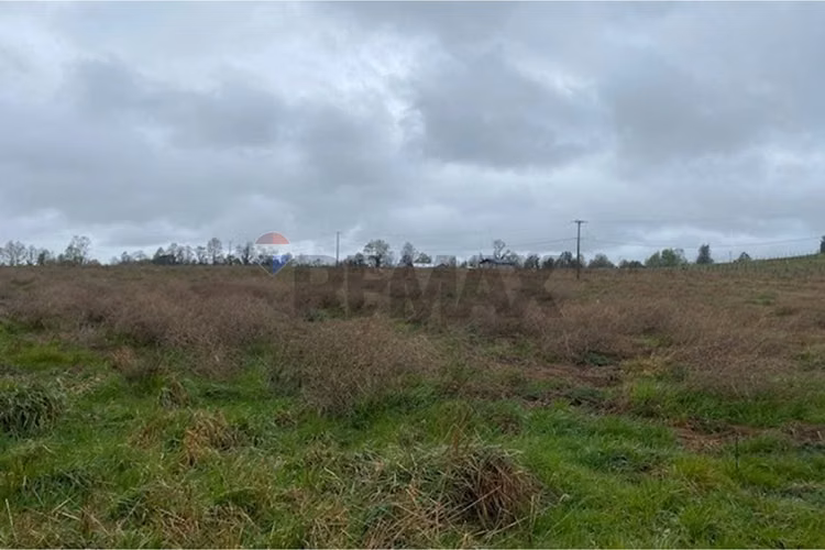 Venta de parcela 5.000 m² – sector coipué - Imagen 13