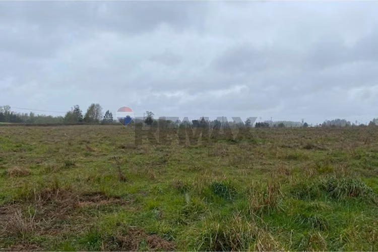 Venta de parcela 5.000 m² – sector coipué