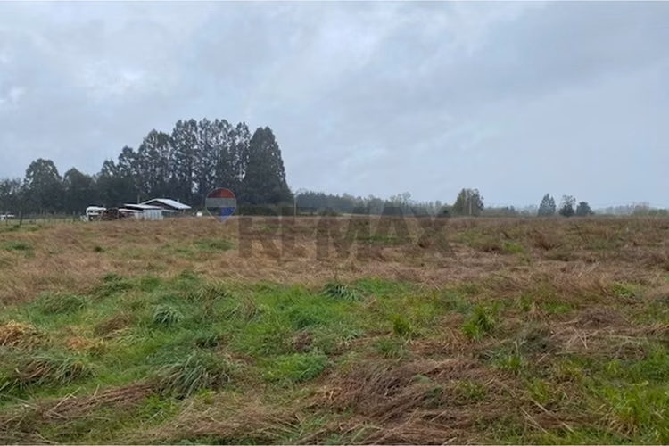 Venta de parcela 5.000 m² – sector coipué