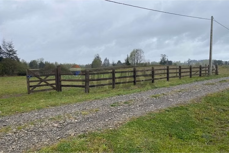 Venta de parcela 5.000 m² – sector coipué - Imagen 5