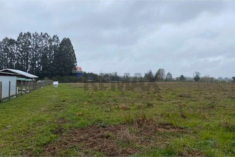 Venta de parcela 5.000 m² – sector coipué - Imagen 14