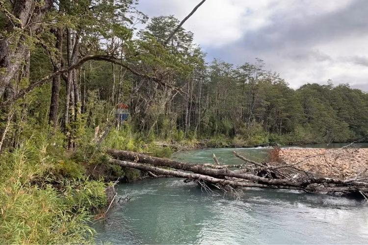 Patagonia natural | invierte hoy, proyecta futuro - Imagen 17