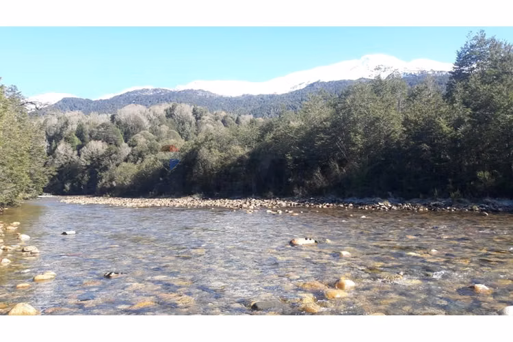 Patagonia natural | invierte hoy, proyecta futuro