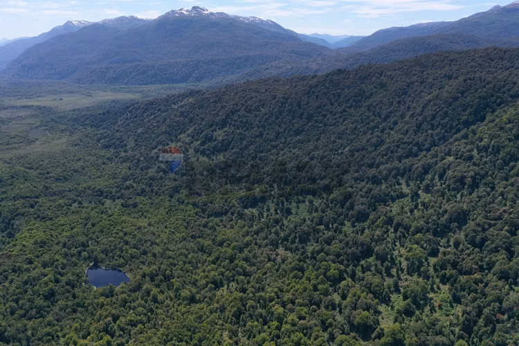 Patagonia con río | 20.000 m² para invertir - Imagen 22