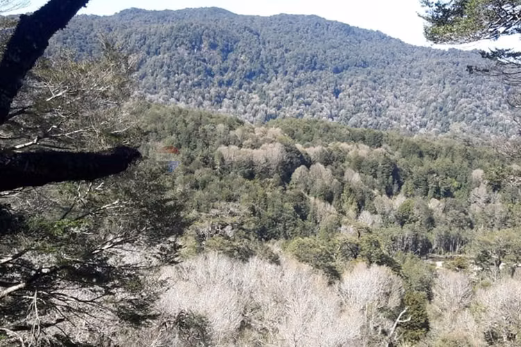 Patagonia con río | 20.000 m² para invertir - Imagen 13
