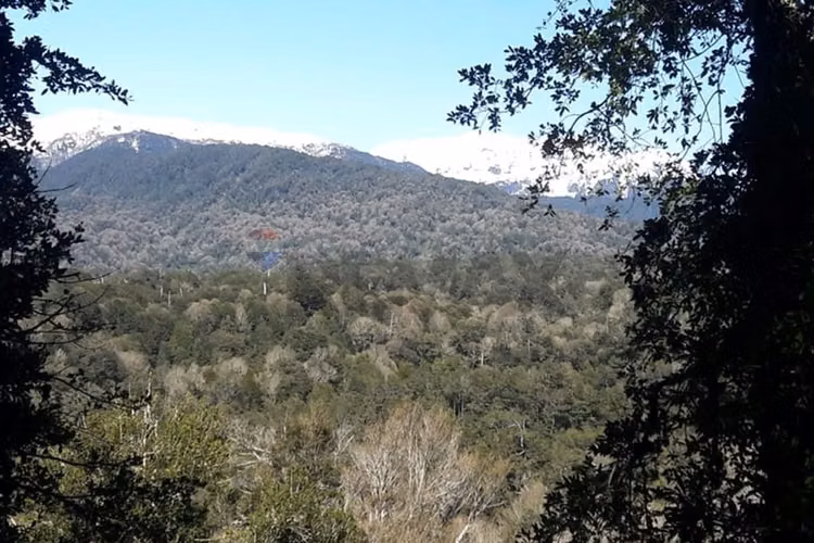 Patagonia con río | 20.000 m² para invertir - Imagen 9