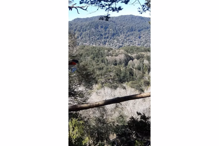 Patagonia con río | 20.000 m² para invertir - Imagen 32