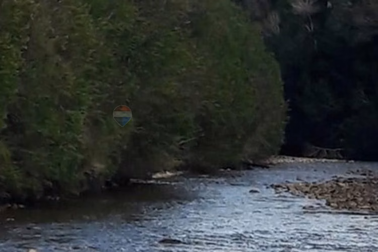 Patagonia con río | 20.000 m² para invertir - Imagen 4