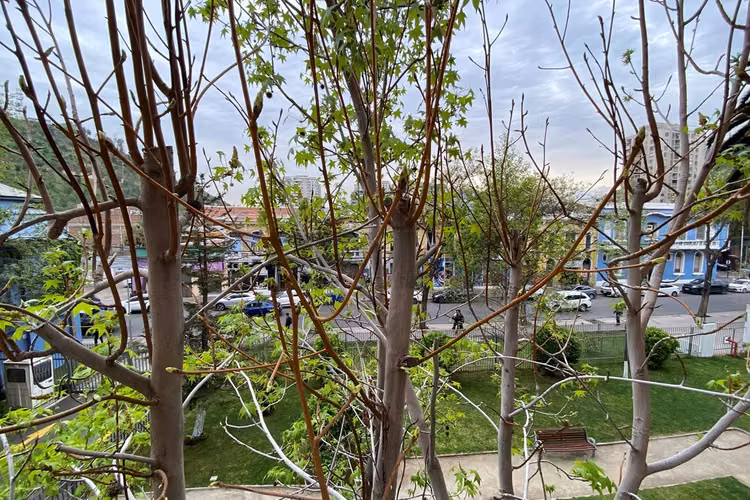 ¡hermoso depto. 2d/2b en recoleta, santiago! - Imagen 6