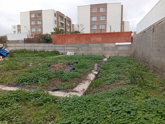 TERRENO COMERCIAL A PASOS DE AVENIDA DE AGUIRRE