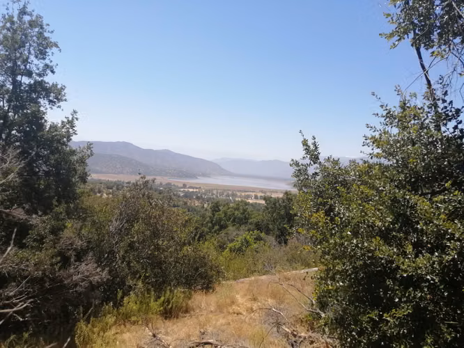 TERRENO 3,2 HA PARA PARCELA AGRADO BOSQUES DE ACULEO RANGUE - Imagen 4
