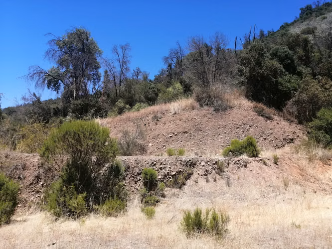 TERRENO 3,2 HA PARA PARCELA AGRADO BOSQUES DE ACULEO RANGUE - Imagen 9