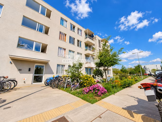 Venta Depto 3D/1B + Terraza | Vista Parque San Bernardo - Imagen 2