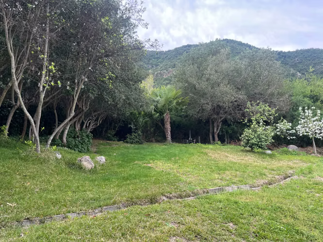 Venta Parcela Ruta del Vino, Nancagua: 2 casas (184438)