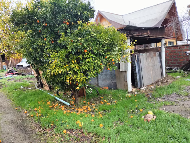 VENDO PROPIEDAD EN GRANEROS CENTRICA - Imagen 9