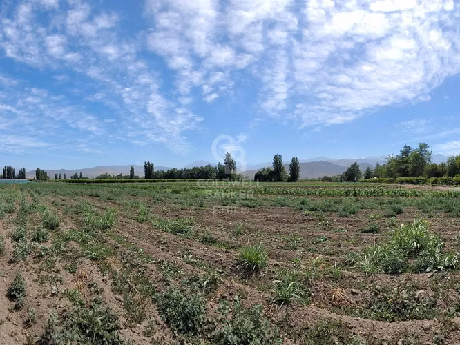 Parcela Sector Santa Maria, San Felipe - Imagen 8